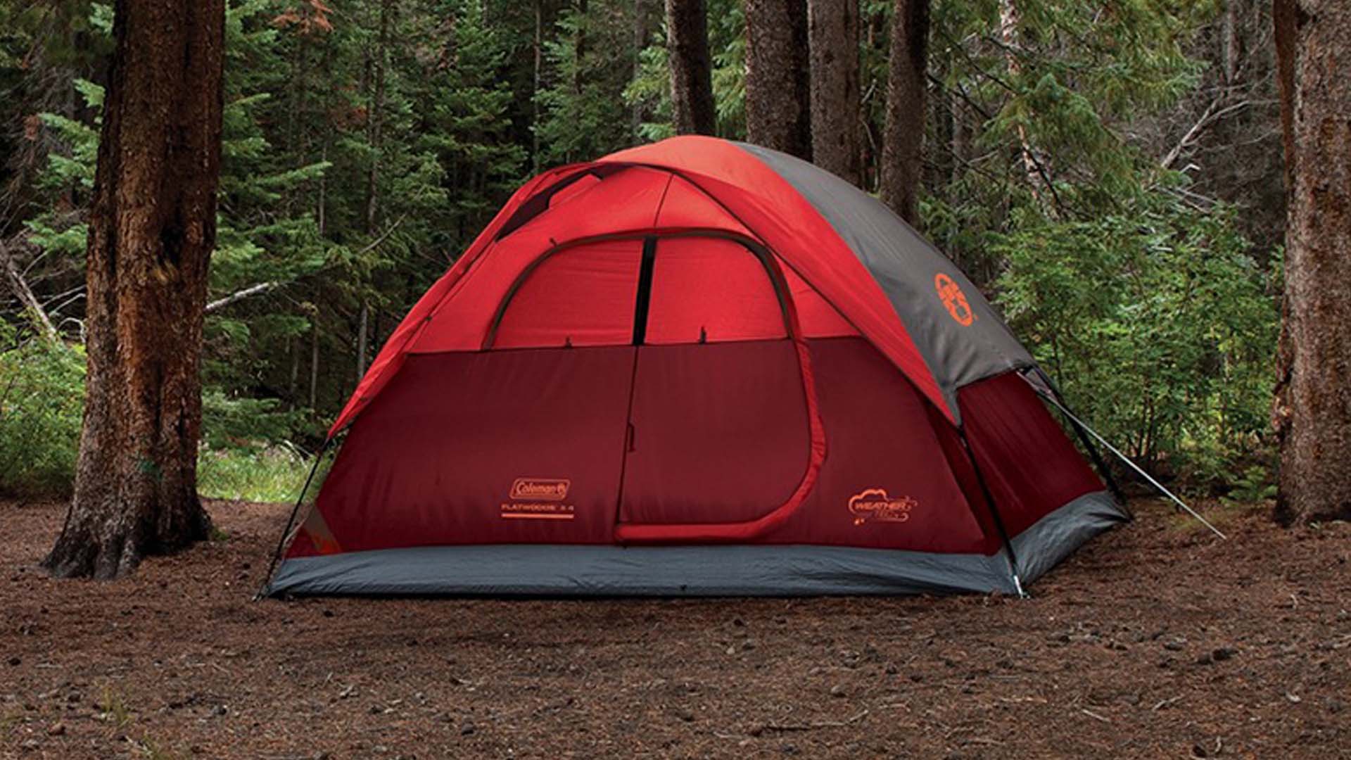 Coleman Tent On Lemoney Cash Back Father's Day