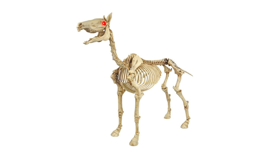 Standing Skeleton Pony 