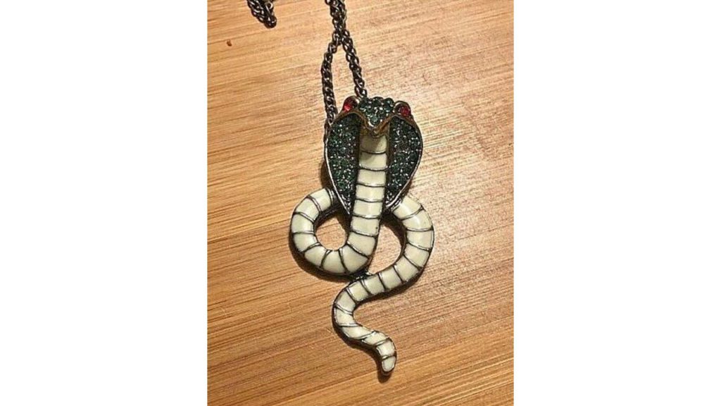 eBay Weird Things - Vision Serpents